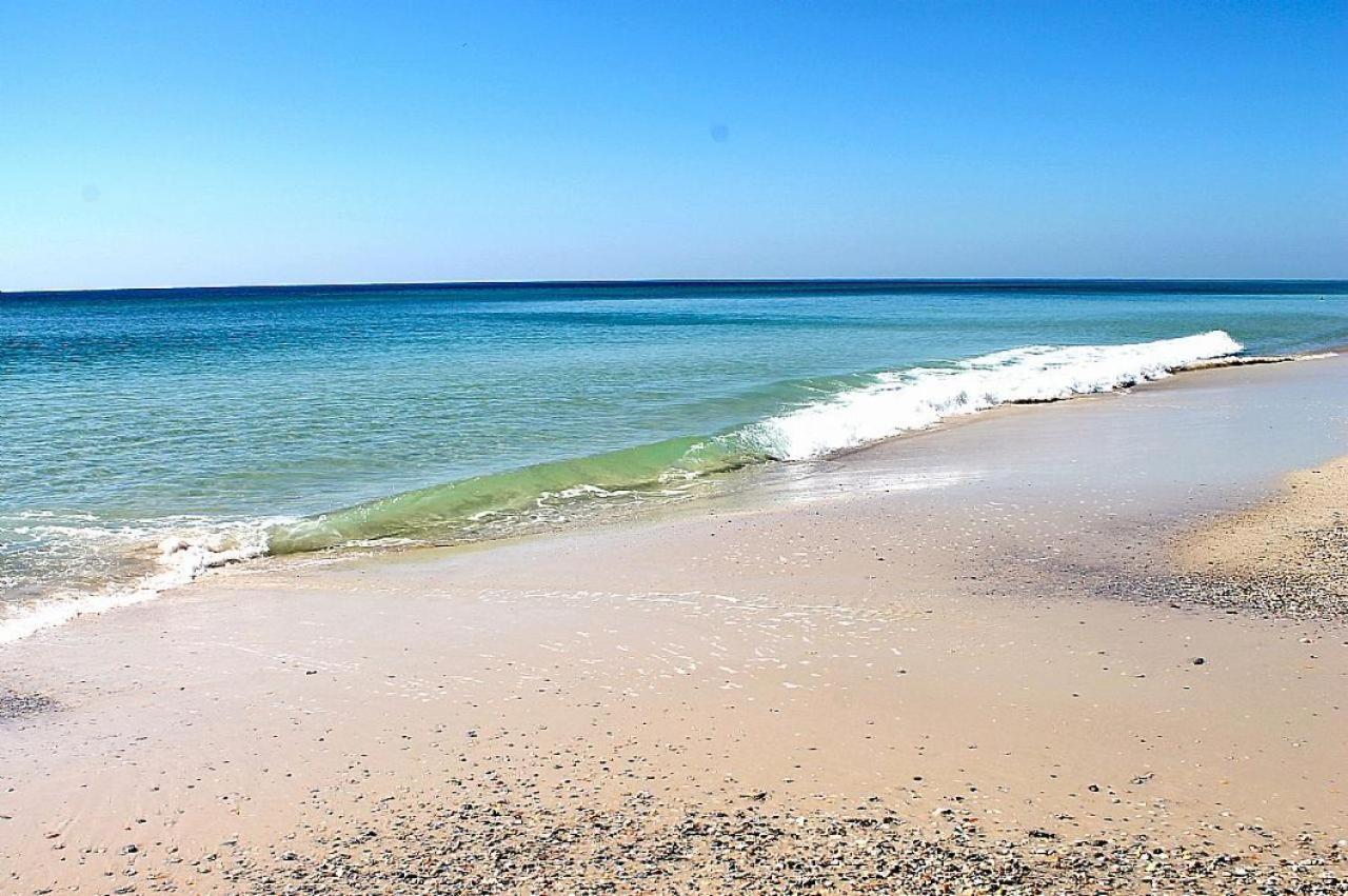 Phoenix East 707 Hotel Orange Beach Kültér fotó